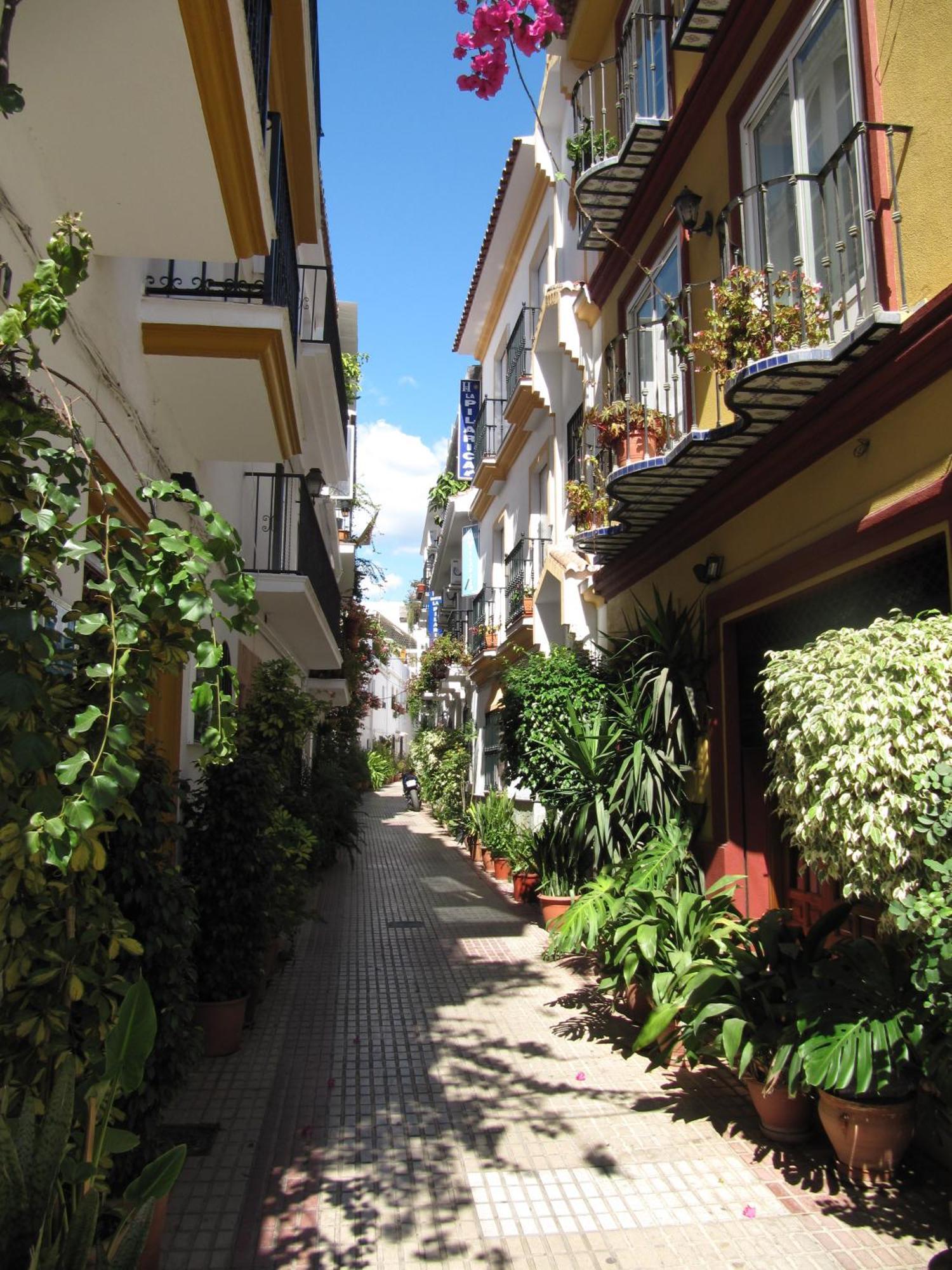 Hostal La Pilarica Marbella Eksteriør billede