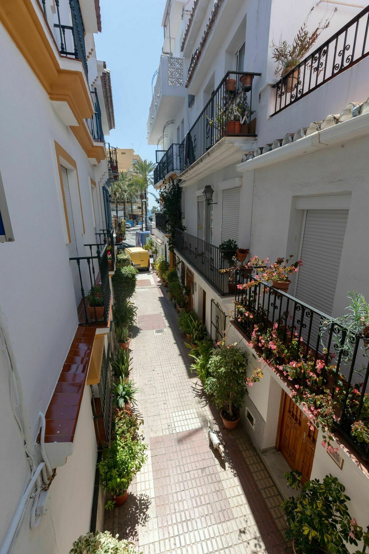Hostal La Pilarica Marbella Eksteriør billede