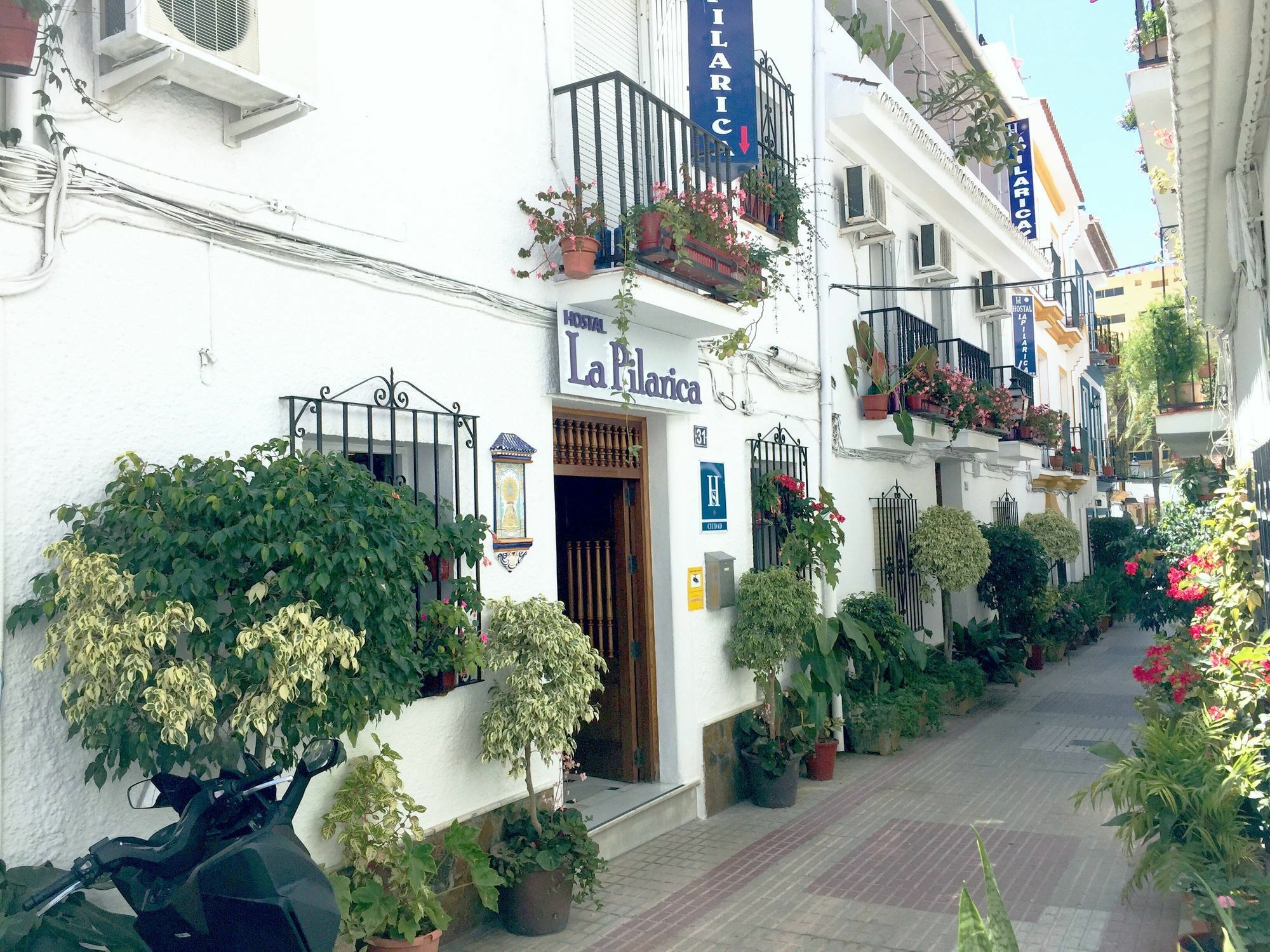 Hostal La Pilarica Marbella Eksteriør billede