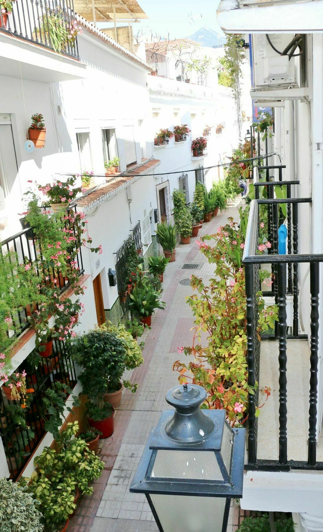Hostal La Pilarica Marbella Eksteriør billede