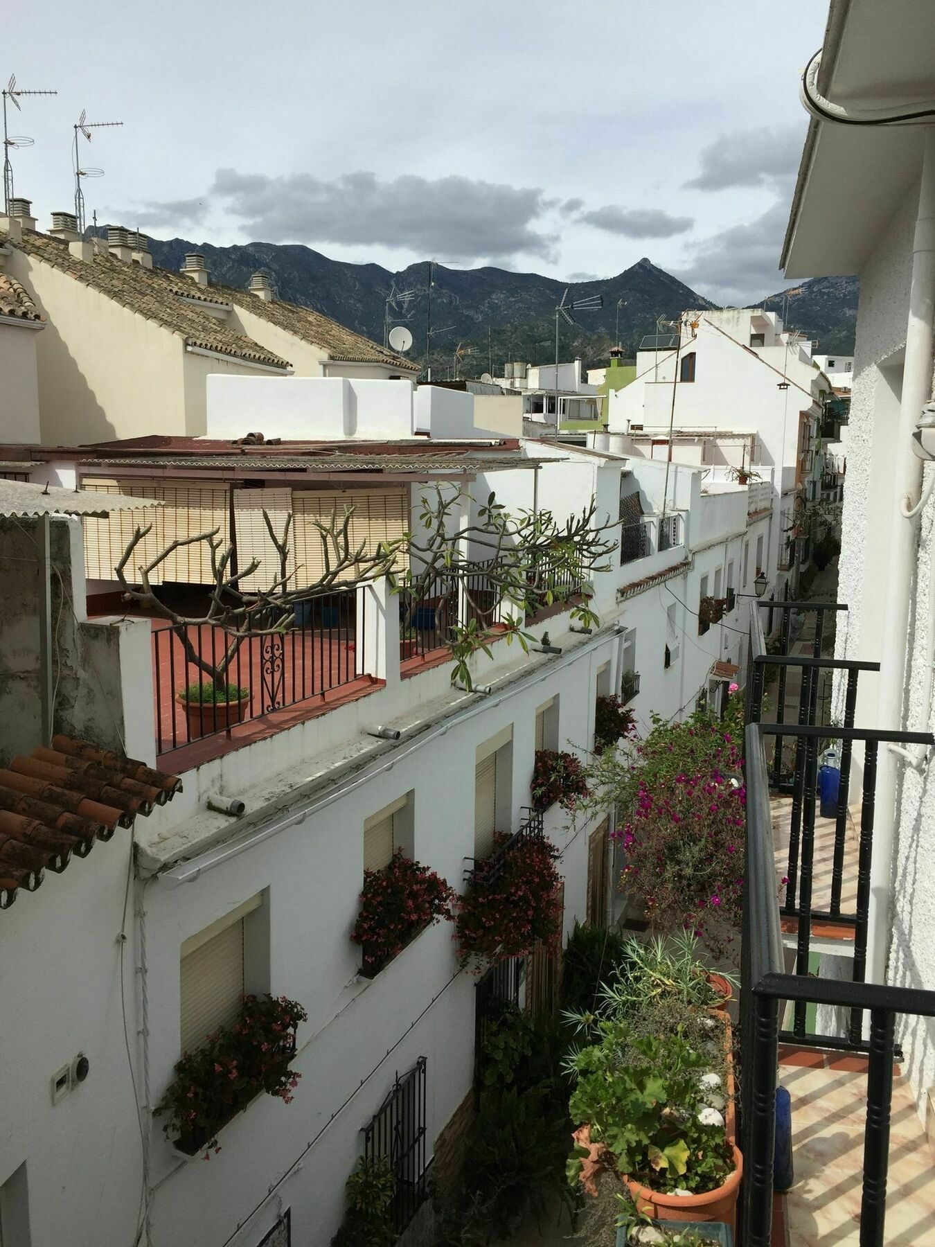 Hostal La Pilarica Marbella Eksteriør billede