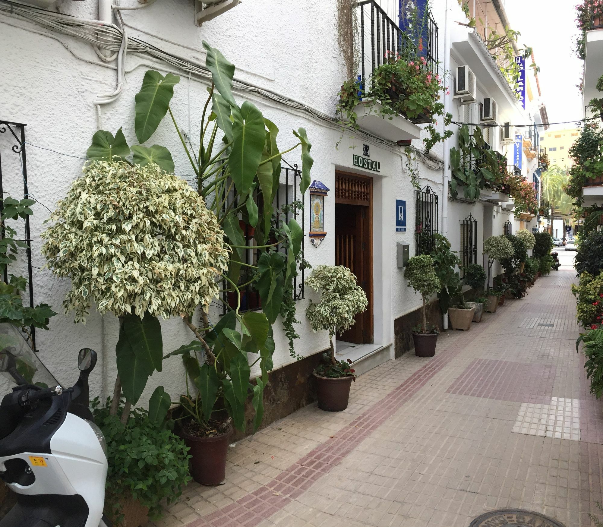 Hostal La Pilarica Marbella Eksteriør billede